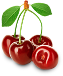 Cherries_Cutout